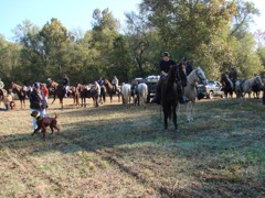 DSC00965.JPG