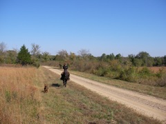 SANY0028.JPG