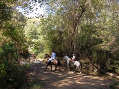 SANY0035.JPG