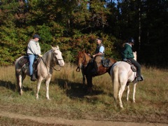 DSC00923.JPG