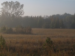PA310313.JPG
