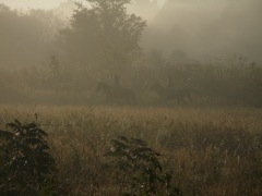 PA310314.JPG