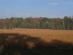 PA310321.JPG