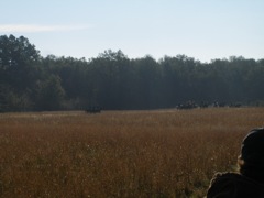 PA310325.JPG