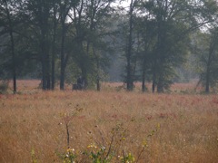 PA310330.JPG