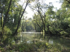 IMG_0407.JPG