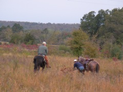 SANY0066.JPG