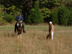 DSC00926.JPG