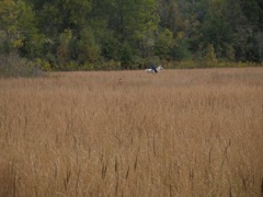 PB010332.JPG