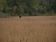 PB010333.JPG