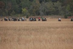 DSC_0214.JPG