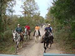 DSC01094.JPG