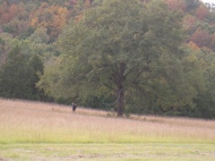 SANY0097.JPG