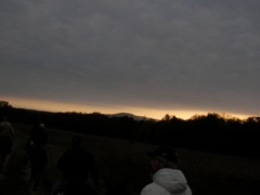 SANY0013.JPG