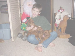 owen_puppies_wm