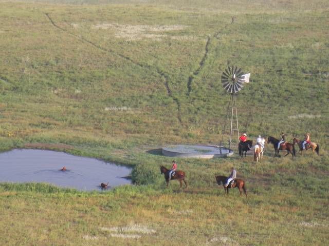 ainsworth_training_2007_2