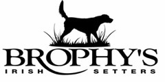 brophylogo_1