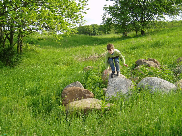 P1010187.JPG