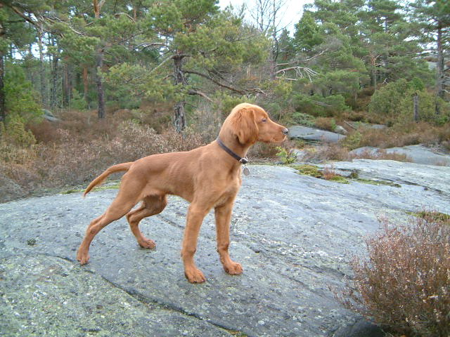 Scott 6 months old 1