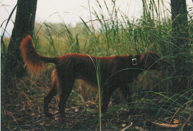 rita_point_13_yrs_neb