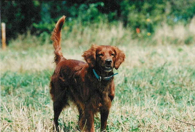 rita_point_1