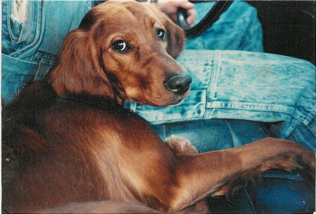 rita_copilot_phil