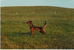 lightning_point_neb_3