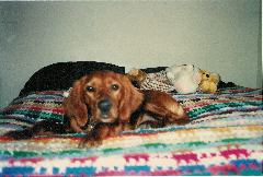 rita_bed_1