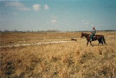 rita_jenny_trial_3