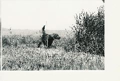 rita_point_best_black_white