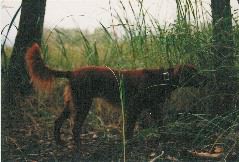 rita_point_13_yrs_neb