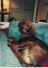 rita_couch_2