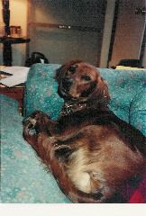 rita_couch_3
