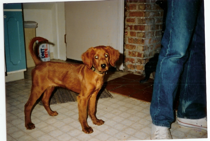 scan0001