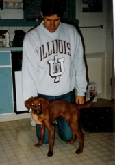 Clancy pup