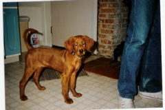 scan0001