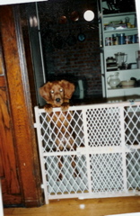 scan0004