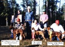 1990 Placements